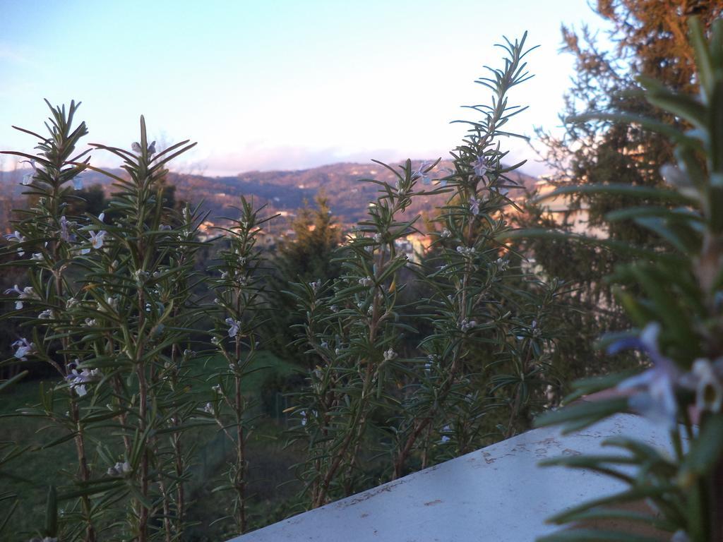 Apartment Montecatini-Terme Near Firenze, Lucca, Pisa Szoba fotó