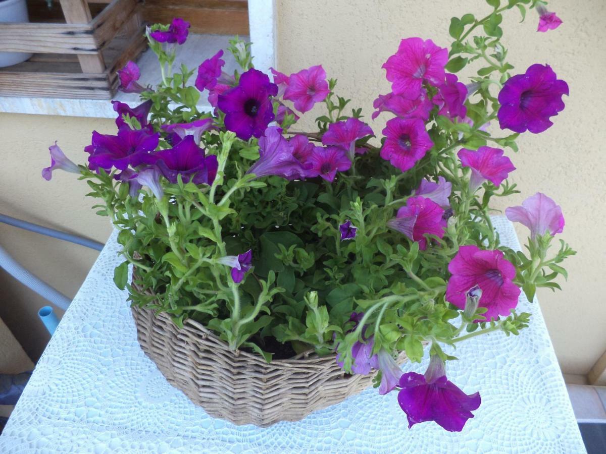 Apartment Montecatini-Terme Near Firenze, Lucca, Pisa Kültér fotó